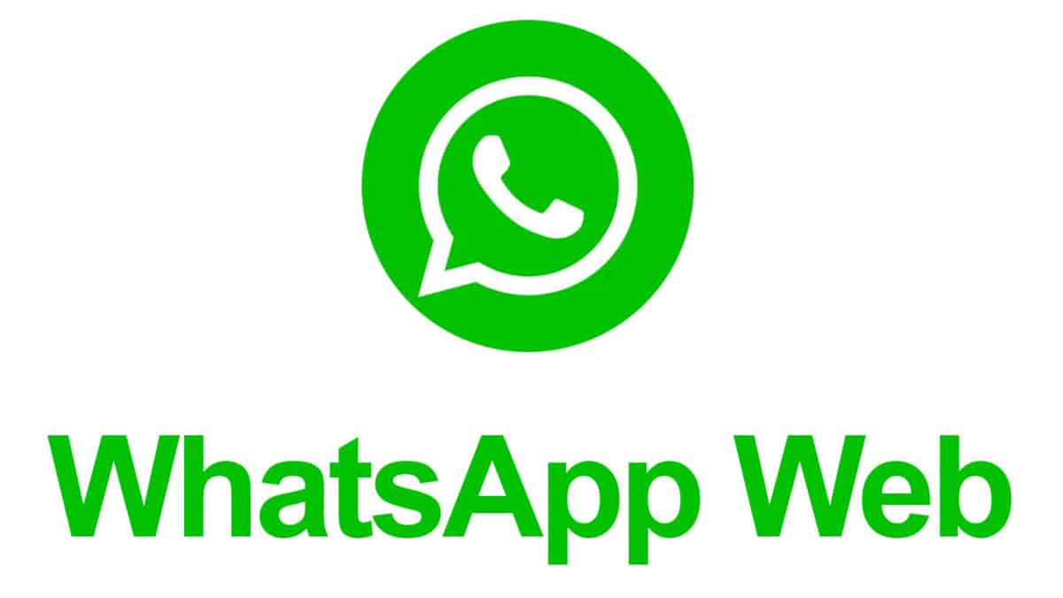 What are the criteria for checking for WhatsApp Business activated phone numbers? Explained in one article